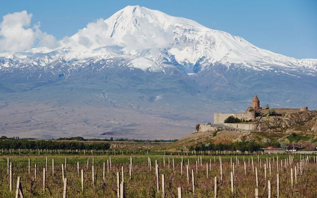 THE WORLD’S FIRST WINERY